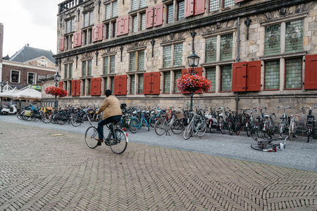 Delft, Netherlands - August 3, 2016: City Hall of Delftのeditorial素材