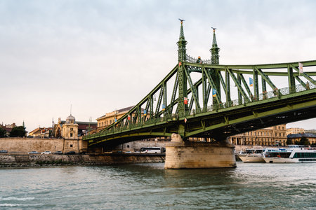 Liberty Bridge in Budapestのeditorial素材
