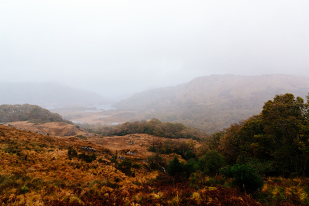 Misty landscape at Autumn time in Ireland