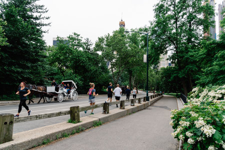 People running in Central Park in New York City a cloudy dayのeditorial素材