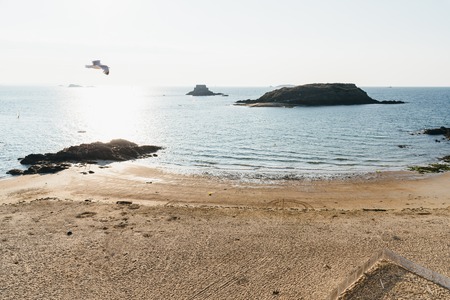 Seagull flying over the empty beach of Saint Maloの写真素材