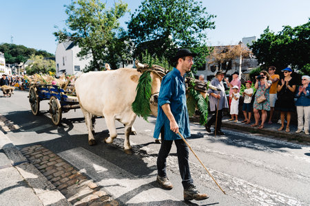 Traditional Festival of Gorse Flowers in Pont-Avenのeditorial素材