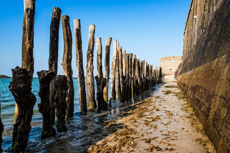 Wooden Poles outside Saint Malo walls at low tideの写真素材