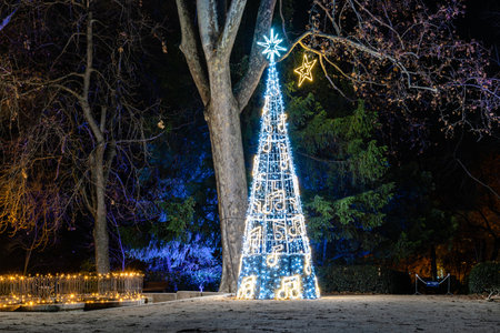 Royal Botanical Garden of Madrid illuminated during Christmas time.のeditorial素材