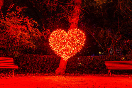 Royal Botanical Garden of Madrid illuminated during Christmas time.のeditorial素材