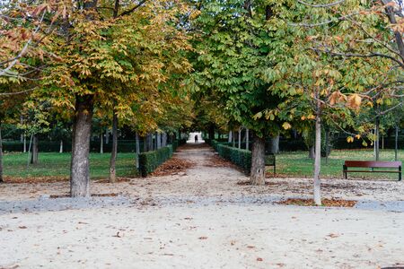 Footpath in Buen Retiro Park in Madridの写真素材