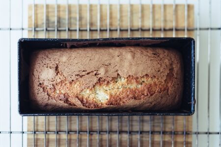 Organic bread in a baking pan. Selective focus shotの写真素材