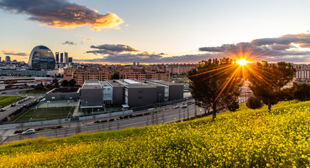 Panoramic view of the skyline of Madrid from hill covered with yellow flowers at sunset in springtimeのeditorial素材