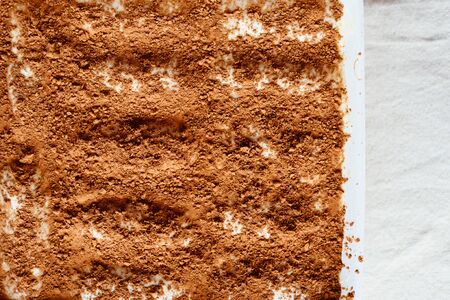Delicious Tiramisu cake., a traditional italian dessert