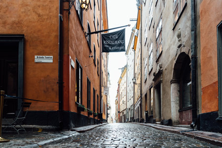 View of empty narrow cobblestoned street in Gamla Stan in Stockholmのeditorial素材
