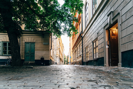 View of empty narrow cobblestoned street in Gamla Stan in Stockholmのeditorial素材