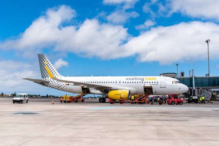 Airplane on the runway of Tenerife Norte airportのeditorial素材