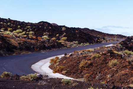 Empty road in a volcanic landscape in the Island of La Palmaの写真素材