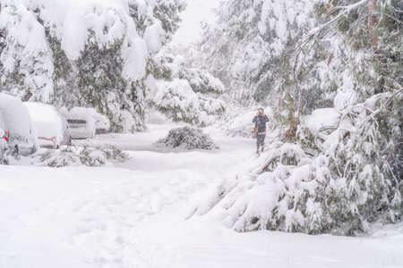 View of a city street covered in snow during heavy snowfall with fallen treesの写真素材