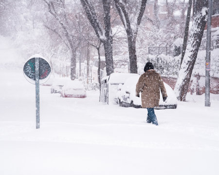 People walking on a city street covered in snow during heavy snowfall with fallen treesのeditorial素材