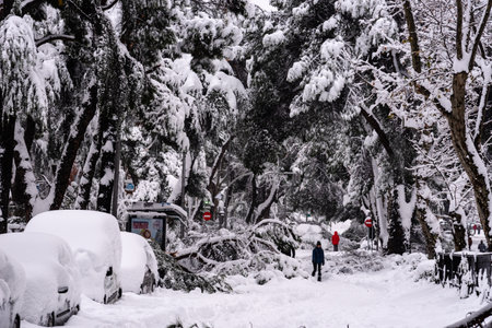 Street view covered in snow with fallen trees during heavy snowfall storm Filomena in Madridのeditorial素材