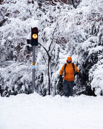 Man walking on a city street covered in snow during heavy snowfall with fallen treesのeditorial素材