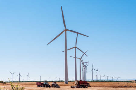 Wind turbines generating electricity on landscape of farmlandの写真素材