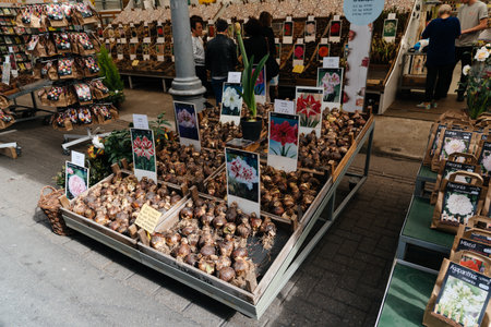 The Flower market at the Singel Canal in Amsterdamのeditorial素材