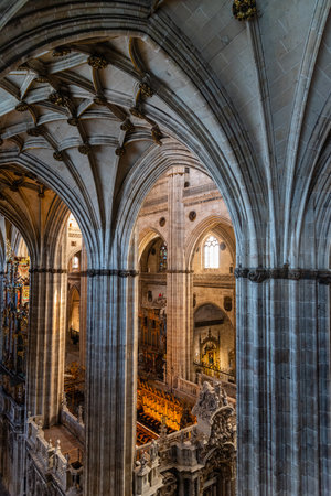 Interior view of the nave of the Cathedral of Salamanca in Spainのeditorial素材