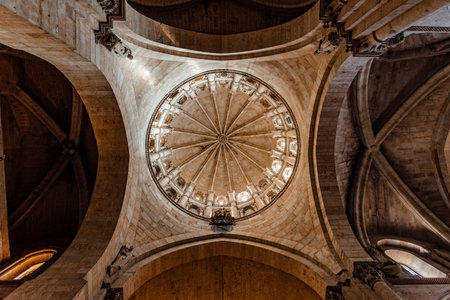 Interior view of the vaults of the Cathedral of Salamanca in Spainのeditorial素材