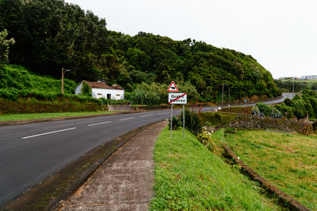 Road on the north coast of the island of Terceiraのeditorial素材