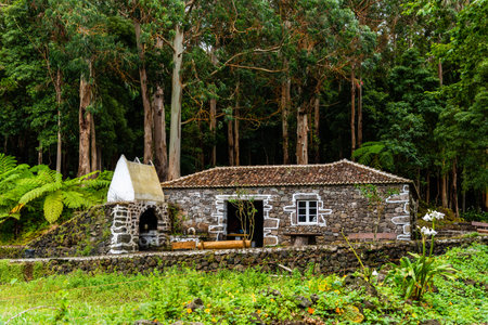 Traditional stone cottage in Recreation area in the Mata da Serreta Forest Reserve in Terceira Islandの写真素材
