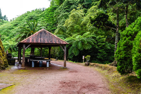 Natural Park of Ribeira dos Caldeiroes in Azores, Sao Miguel Islandのeditorial素材