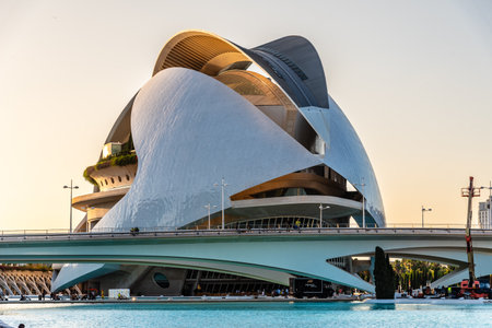 Valencia, Spain - July 29, 2023: View of Palau de les Arts Reina Sofia in Valencia in the City of Arts and Sciences. It was designed by famous Spanish architect Santiago Calatravaのeditorial素材