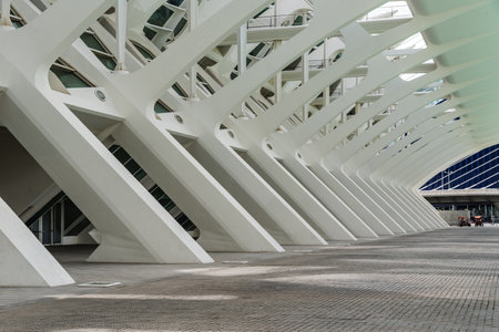 Valencia, Spain - July 30, 2023: Museum of Sciences Prince Philip in the City of Arts and Science. It resembles the skeleton of a whale and was designed by famous Spanish architect Santiago Calataravaのeditorial素材
