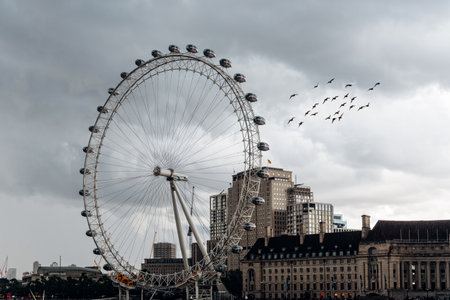 London, UK - August 26, 2023: London Eye ferris wheel across the River Thames on a cloudy and rainy summer day with a flock of birds in the skyのeditorial素材