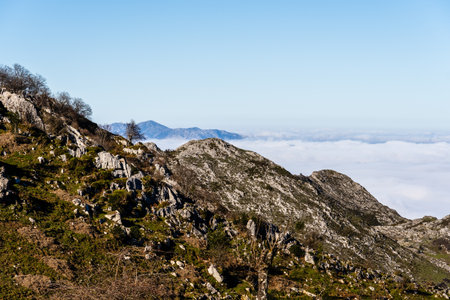 Mountain landscape with rocky terrain covered in low vegetation, overlooking a sea of clouds under a clear blue sky.の写真素材