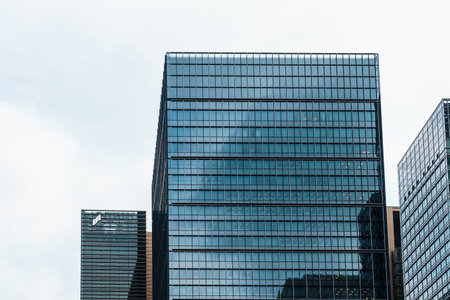 Tokyo, Japan - August 6, 2024: A modern glass skyscrapers stands tall against a cloudy sky in Tokyo,...