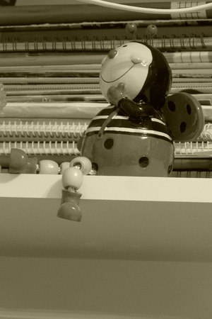 ladybug on the shelfの写真素材