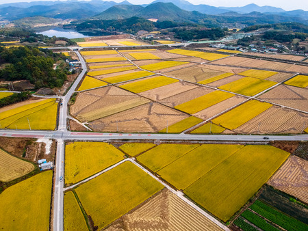 rural scenery in Koreaの写真素材