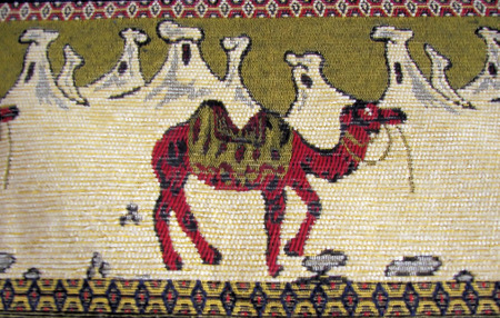 camel on turkish knit の写真素材