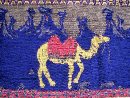 camel on blue turkish knitの写真素材