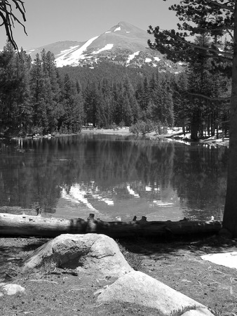 snow in june - yosemite npの写真素材