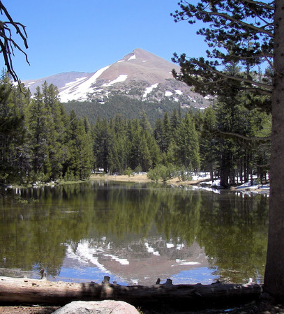 tioga pass snow in june - yosemite npの写真素材