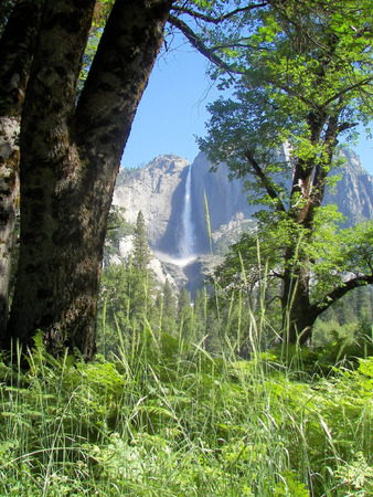 yosemite falls 3の写真素材