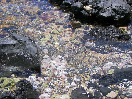 colorful volcanic tidal pool - hawaiiの写真素材