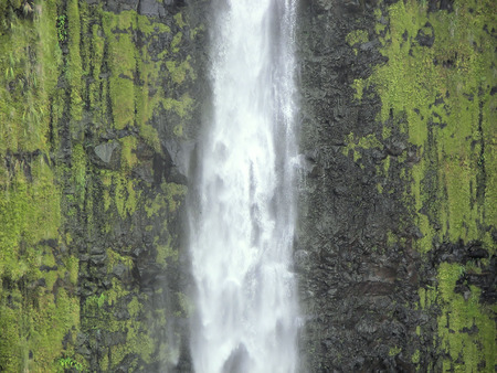 mossy akaka falls, hawaiiの写真素材