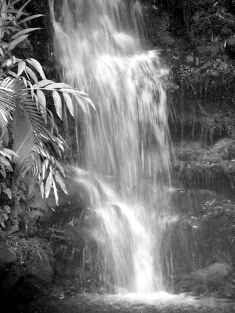 waterfall in hawaiiの写真素材