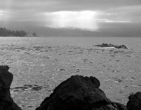 silhouette of trees on the beach in mauiの写真素材