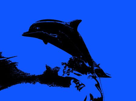 dolphin graphicの写真素材