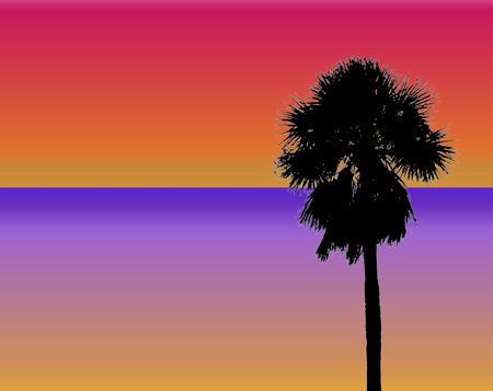 tropical palm sunset designの写真素材
