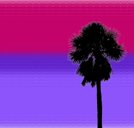 tropical palm designの写真素材