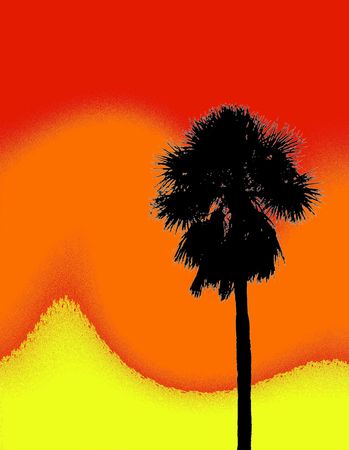 tropical palm designの写真素材