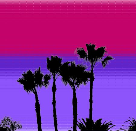palms silhouetteの写真素材