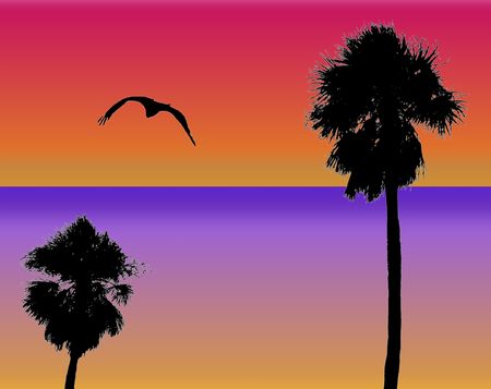 palms and bird silhouette designの写真素材
